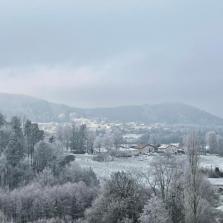 Gite Des Brimbelles La Neuveville-Devant-Lepanges Zewnętrze zdjęcie