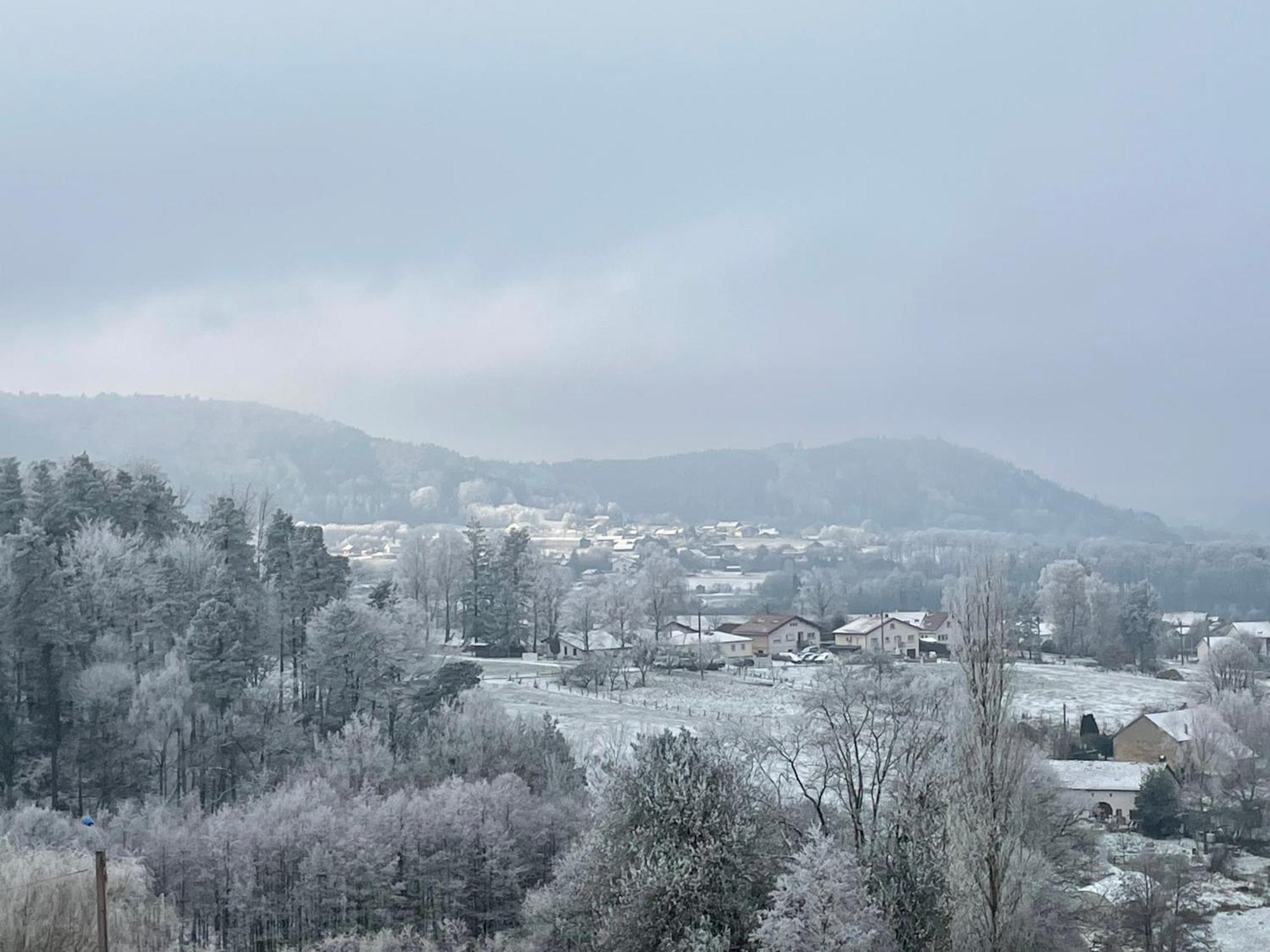 Gite Des Brimbelles La Neuveville-Devant-Lepanges Zewnętrze zdjęcie